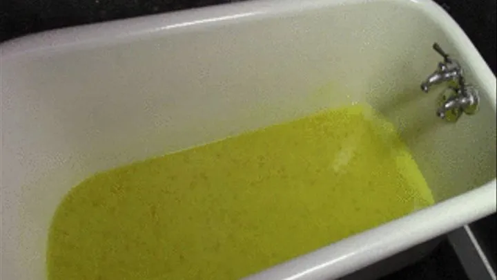 XXX Slime Bath