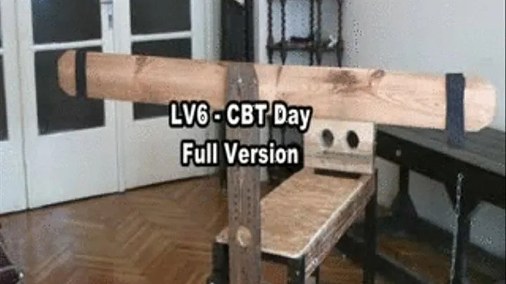 LV6 - CBT Day