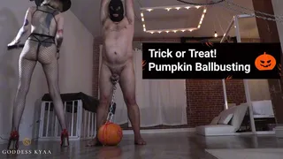 Trick or Treat! Pumpkin Ballbusting - Femdom Witch Punishing the Gimp