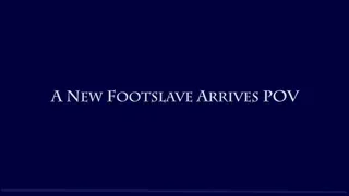 A New Footslave Arrives POV - Foot Fetish Femdom by Goddess Kyaa