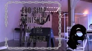 CEO Gimp Punished in the Dungeon