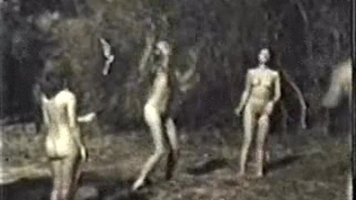 1960's - Nudist Untitled - 007