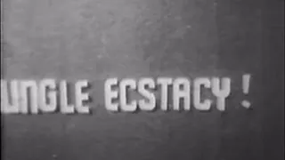 1950's - Stripper & Cheesecake - Jungle Ecstacy