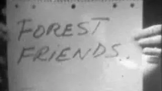 1960's - Hardcore - Forest Friends