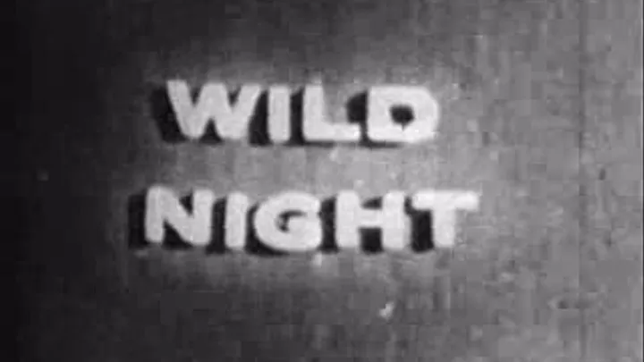 1960's - Hardcore - Wild Night