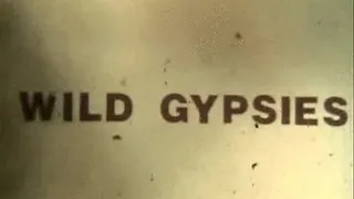 1970's - Hardcore - Wild Gypsies
