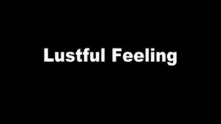 1970's - Hardcore - Lustful Feeling - Part 1