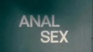 1970's - Hardcore - Anal Sex