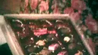 1970's - Hardcore - Chocolates For Fattie