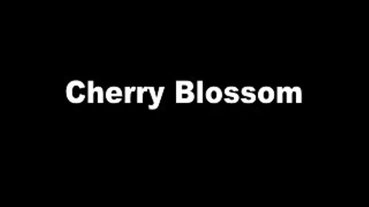 1970's - Hardcore - Cherry Blossom - Part 1