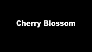 1970's - Hardcore - Cherry Blossom - Part 1