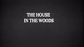 1970's - Gay - The House in the Woods