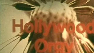 1970's - Hardcore - Hollywood Orgy