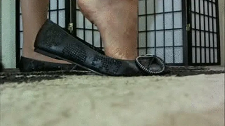 Flat Shoe, Foot, and Calf Muscle Worship!