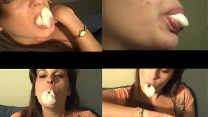 PT 2 Bubble Gum Blow, Pop, and Watch Play