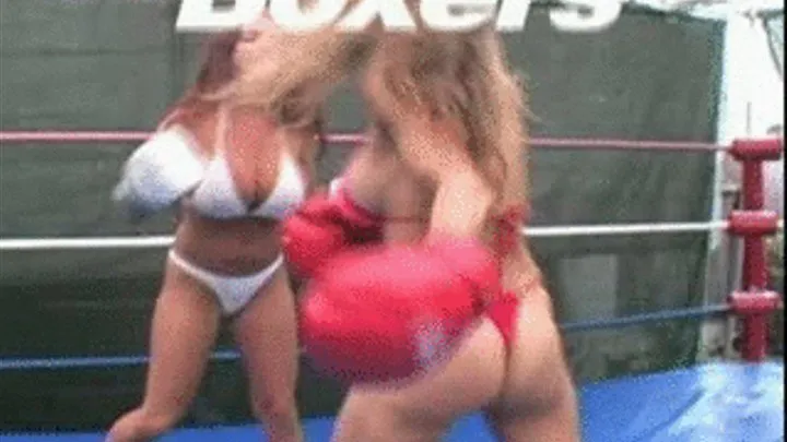 Big Titty Boxing ( for Mac's, iPods, iPads, and iPhones)