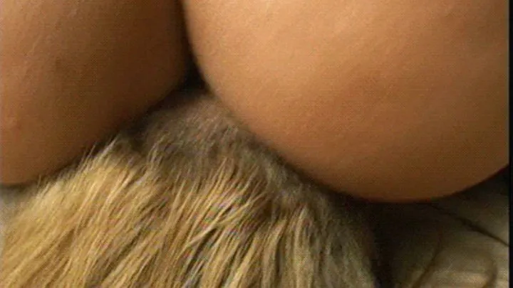 Black Butt Full Weight Facesitting - Full Version