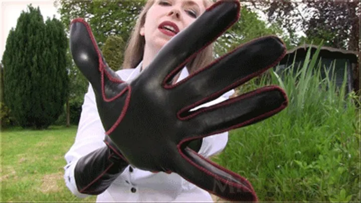 Mesmerized And Seduced By Gloves