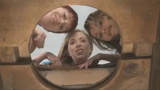 Toilet POV Trio