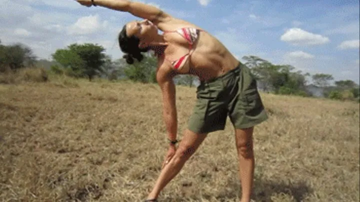 Stretching In The Serengeti (QuickTime)