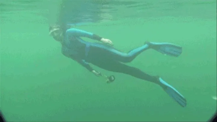 Exploring and Freediving the Springs (QuickTime)