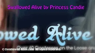 Swallowed Alive by Princess Candie