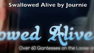 Swallowed Alive by Journie