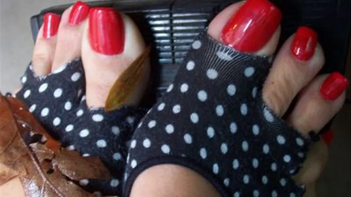 CHRISTMAS EVE TOES!! CANDI FLEXING HER GORGEOUS RED TOES (PART 1) BRAND NEW FOOTAGE)