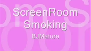 Screen Room Smoke