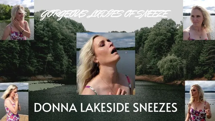 DONNA AND LAKESIDE SNEEZES 2023 FULL SESSION OVER 45 MINUTES OF FOOTAGE (ALL BRAND NEW AND ALL DONNA) SNEEZES, NOSE BLOWS, SNORT AND MORE! CELEBRATING OVER 15 YEARS OF GORGEOUS SNEEZES!