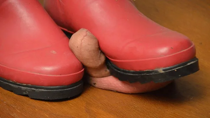 My red rubber boots ...