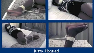 Kitty Hogtied