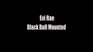 Evi Rae Black Bull Mounted