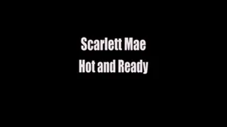 Scarlett Mae Hot and Ready Interview