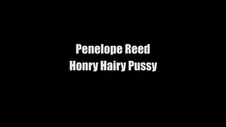 2377 Penelope Reed Horny Hairy Pussy Interview