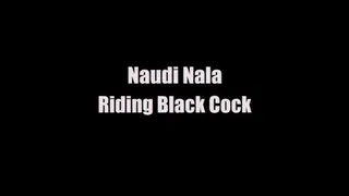Naudi Nala Riding Black Cock
