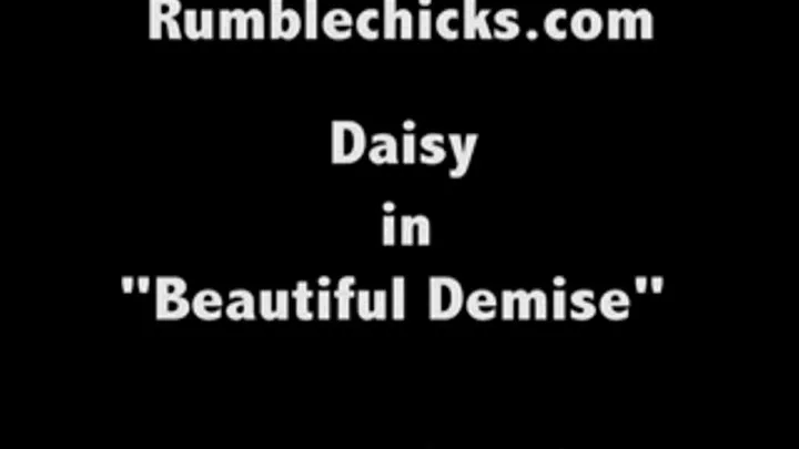 Daisy Beautiful Demise: Cam 1