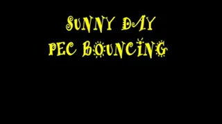 SUNNY DAY PEC BOUNCING