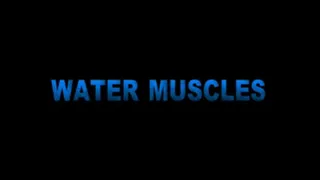 WATER MUSCLES