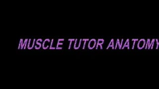 MUSCLE TUTOR ANATOMY LESSON