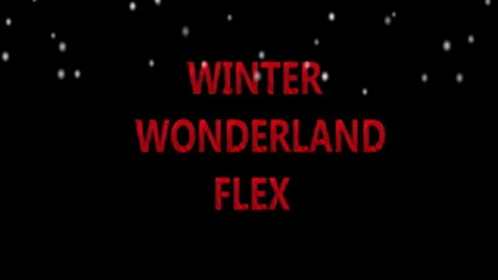 WINTER WONDERLAND FLEX