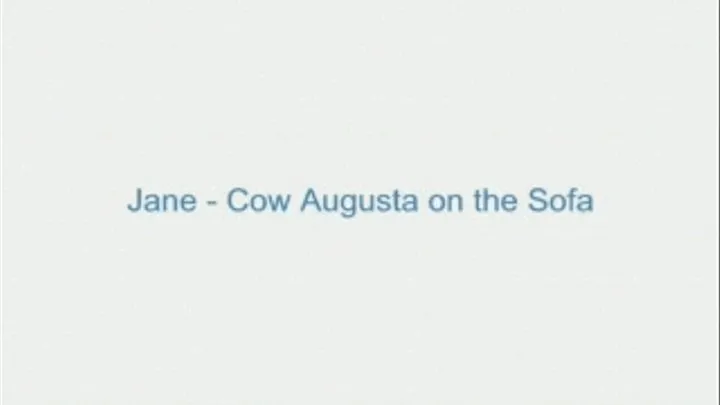 Jane - Cow Augusta on the Sofa