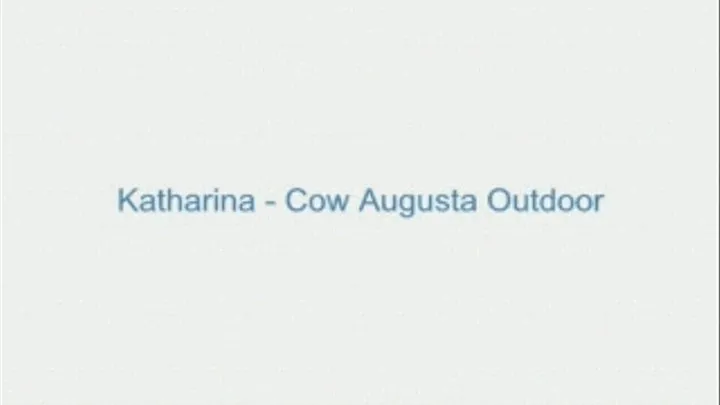 Katharina - Cow Augusta Outdoor