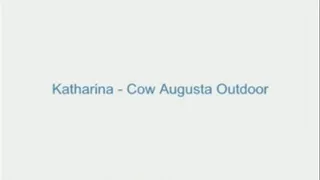 Katharina - Cow Augusta Outdoor