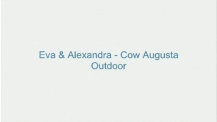 Eva and Alexandra - Cow Augusta Outdoor