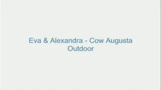 Eva and Alexandra - Cow Augusta Outdoor