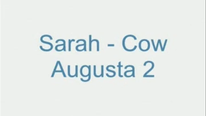 Sarah - Cow Augusta 2