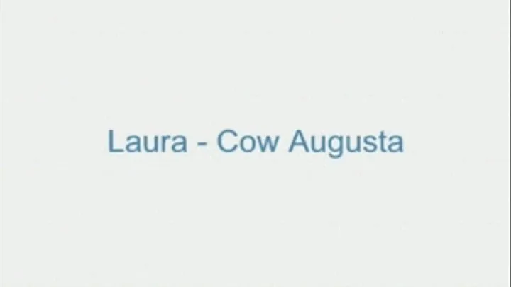 Laura - Cow Augusta