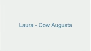 Laura - Cow Augusta