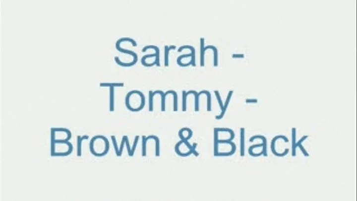 Sarah - Tommy brown and black